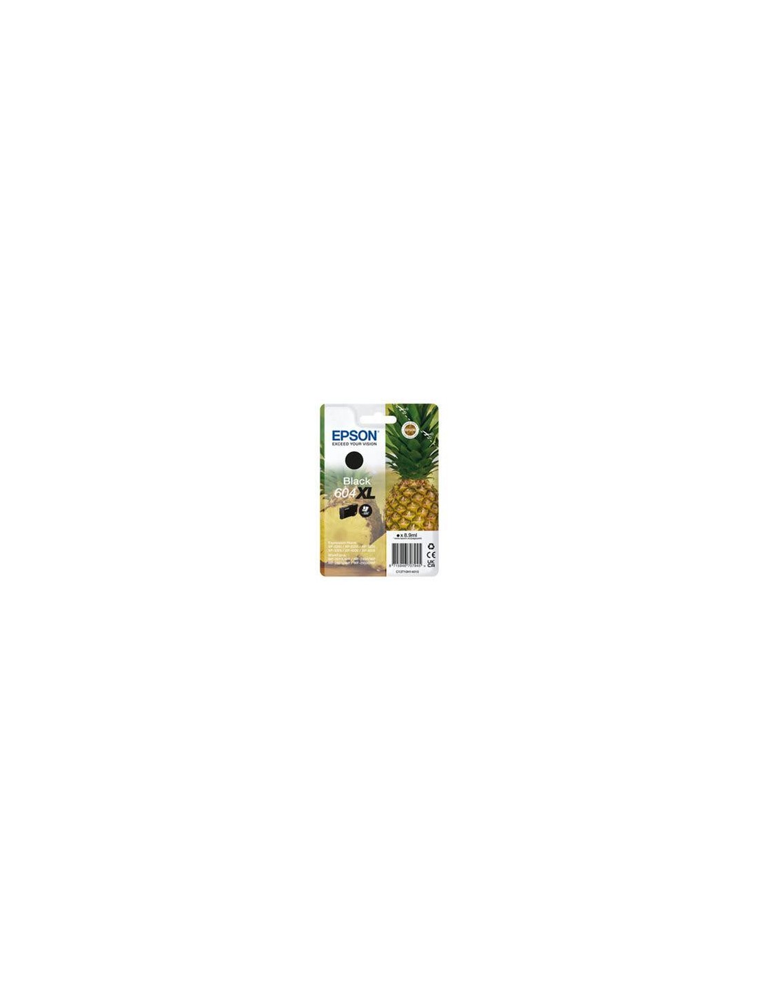 Singlepack Black 604XL Ink