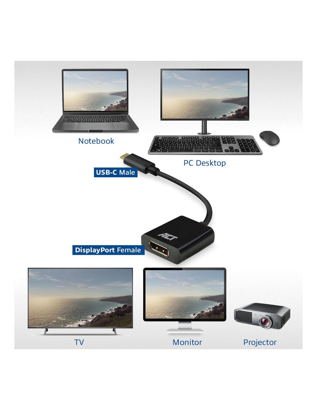 ACT AC7320 video kabel adapter 0,15 m USB Type-C DisplayPort Zwart