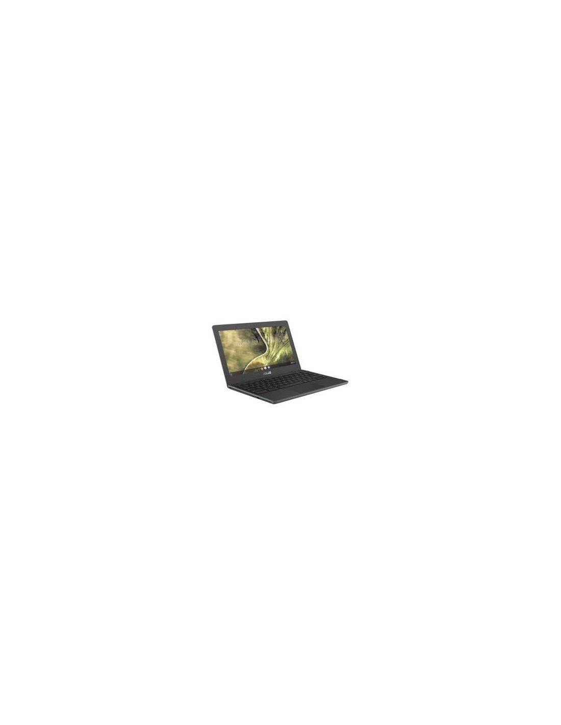 Asus C204MA-BU0448 Notebook