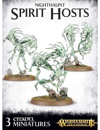 Warhammer Nighthaunt: Spirit Hosts Warhammer