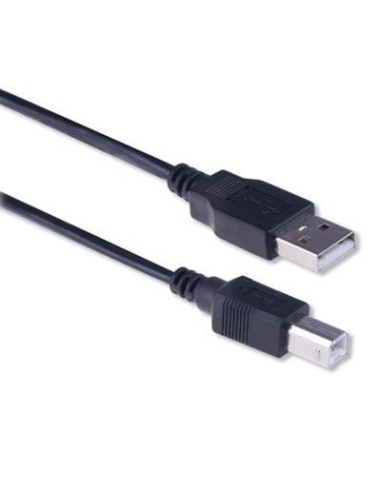 Ewent EW9626 USB-kabel USB 2.0 5 m USB A USB B Zwart