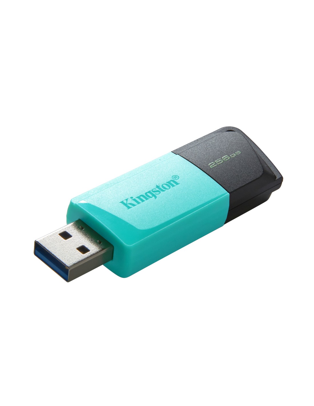 Kingston Technology DataTraveler Exodia M USB flash drive 256 GB USB Type-A 3.2 Gen 1 (3.1 Gen 1) Zwart, Turkoois