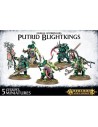 Warhammer maggotkin of nurgle: putrid blightkings Warhammer